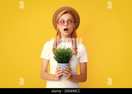 Frau pflanzt Blumen in den Topf. Mädchen Pflege von Topfpflanzen, Hobbys, Home Gartenarbeit. Stockfoto