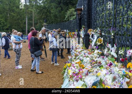 Blumen vor den Toren des Sandringham Estate, die das Leben von Königin Elizabeth II. Loben Stockfoto