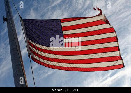 Owensboro, KY, USA. 09. September 2022. Eine zerfetzte amerikanische Flagge fliegt am Tag nach ihrem Tod auf den halben Stab zu Ehren von Königin Elizabeth II., Monarchin des Vereinigten Königreichs und des Commonwealth Realms. Der Gouverneur von Kentucky hat angeordnet, dass die Flaggen an allen staatlichen Gebäuden bis zum Sonnenuntergang am Tag der Interrementszeit auf die Hälfte des Personals gesenkt werden und ermutigt private Unternehmen und Einzelpersonen, sich an der Tribute zu beteiligen. Die 13 Streifen auf der Flagge stellen die ursprünglichen 13 britischen Kolonien dar, die schließlich die Vereinigten Staaten von Amerika wurden. (Kredit: Billy Suratt/Apex MediaWire über Alamy Live News) Stockfoto