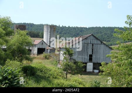 Farm in den Blue Ridge Mountains, Virginia, USA Stockfoto