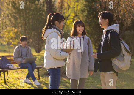 Glückliche chinesische Studenten sprechen auf dem Campus Stockfoto