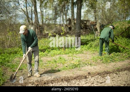 Kerl gräbt Erde mit Schaufel. Graben Boden für die Pflanzung. Arbeiten im Garten. Leben auf dem Land. Mann arbeitet. Stockfoto