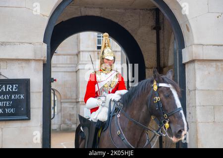 Ein berittene Soldaten der Life Guards im Dienst am Horse Guards Gebäude in Whitehall in der Stadt Westminster in London, England, Großbritannien. Stockfoto