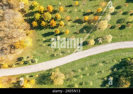 Fussgängerweg im hellen Herbstpark. Sonniger Tag. Top down Luftbild. Stockfoto