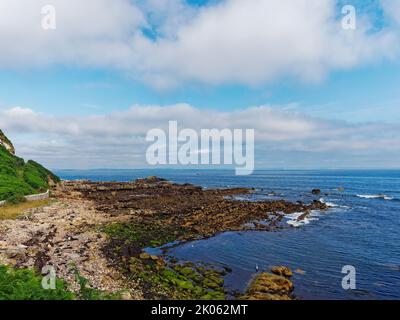 Blick nach Norden von Buddo Ness entlang des Fife Coastal Path an der Ostküste Schottlands an einem ruhigen Summers-Morgen. Stockfoto