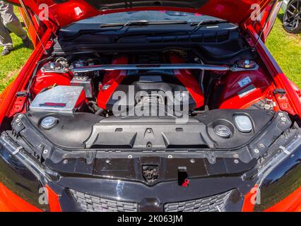 holden ss ute mit Flügeltüren, in rot, stark angepasst auf dem 'glen on wheels' Car Festival in glen innes in New South wales, australien, 2016 Stockfoto