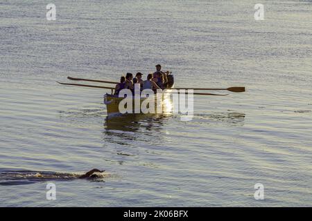 Pilot Gig kommt in den Slipway Stockfoto