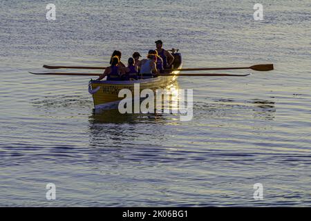 Pilot Gig kommt in den Slipway Stockfoto