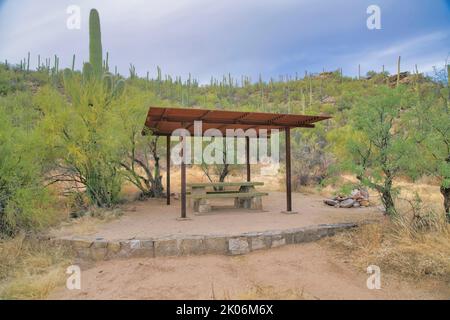 Picknicktisch für Wanderer unter Pergola im Sabino Canyon Sate Park in Arizona. Entspannendes Erholungsgebiet in den Bergen von Santa Catalina für Touristen Stockfoto