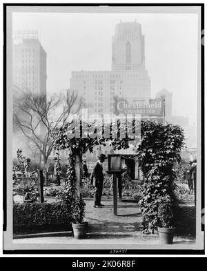 Vorführgarten, Bryant Park, 42. Street und Fifth Avenue, New York, New York, 1918. Menschen, die Pflanzen im Park, New York City, betrachten. Stockfoto