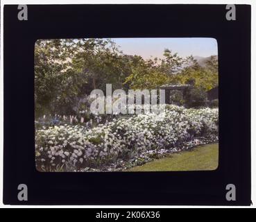 „Glen Oaks“, James Hobart Moore House, East Valley Road, Montecito, Kalifornien, 1917. Hausarchitektur: Unbekannt, möglicherweise Stanford White. Landschaft: W. Stanley Davis, Gärtner bis 1916. Assoziierter Name: Lora Small (Mrs James H.) Moore. Sonstiges: James Hobart Moore erwarb das damals als "Field Place" bekannte Haus von seinen ursprünglichen Besitzern, Dr. Alexander Blair Thaw und Mrs. Florence Dow Thaw, im Jahr 1906. Stockfoto