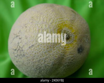 Saftig reife ganze Moschusmelone, auch bekannt als Cucumis melo in grünem Hintergrund platziert. Stockfoto