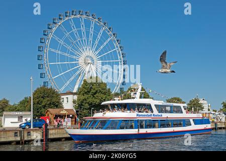 Ausflugsboot, Riesenrad, fliegende Möwe, River Warnow, Hanse Sail, Warnemünde, Rostock, Mecklenburg-Vorpommern, Deutschland Stockfoto