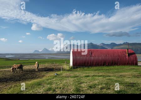 Islandpferde auf der Brekka í Lóni Farm, Stafafell, mit der Klifatindur-Bergkette im Hintergrund, bei Hofn, Island Stockfoto