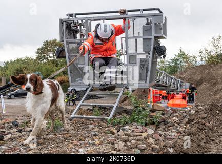 Oestrich, Deutschland. 10. September 2022. Die Feuerwehr bringt Dieter Kaufmann und seinen Hund 'Bea' zu einer simulierten Suche nach einer Verschütteten auf einem Plünderhaufen in der Nähe von Oestrich. Rund 100 Rotkreuz-Hundeführer aus ganz Hessen nehmen mit ihren vierbeinigen Freunden am Trainingslager für das Deutsche Rote Kreuz-Rettungshundenteam Teil. (To dpa 'Rettungshunde üben für Notfälle') Quelle: Boris Roessler/dpa/Alamy Live News Stockfoto