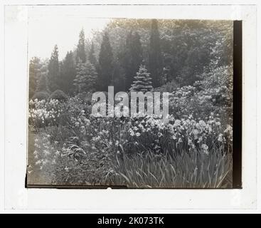 „Killenworth“, George Dupont Pratt House, Glen Cove, New York, c1918. Hausarchitektur: Trowbridge &amp; Ackerman, 1908-1913. Landschaft: James Leal Greenleaf, um 1913. Landschaft: Standort- und Laufwerksplanung in „Dosoris“, dem Familiengelände Pratt mit Häusern der Kinder von Charles Pratt, Frederick Law Olmsted Jr. und Olmsted Brothers, 1906. Stockfoto