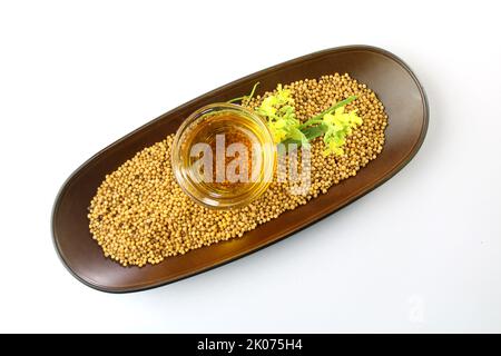 Senfkörner, Öl und Blume auf weißem Hintergrund. Nützlich beim Kochen und bei der äußeren Körperpflege. Senfkörner und Senfpflanzen mit Schoten und Blumen. Stockfoto