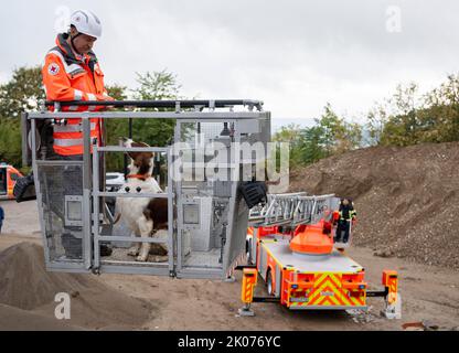 Oestrich, Deutschland. 10. September 2022. Die Feuerwehr bringt Dieter Kaufmann und seinen Hund 'Bea' zu einer simulierten Suche nach einer Verschütteten auf einem Plünderhaufen in der Nähe von Oestrich. Rund 100 Rotkreuz-Hundeführer aus ganz Hessen nehmen mit ihren vierbeinigen Freunden am Trainingslager für das Deutsche Rote Kreuz-Rettungshundenteam Teil. (To dpa 'Rettungshunde üben für Notfälle') Quelle: Boris Roessler/dpa/Alamy Live News Stockfoto