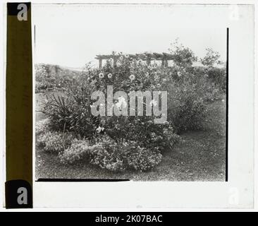 „Grey Gardens“, Robert Carmer Hill House, Lily Pond Lane, East Hampton, New York, 1914. Hausarchitektur: Joseph Greenleaf Thorp, 1897. Landschaft: Anna Gilman (Frau Robert C.) Hügel. Stockfoto