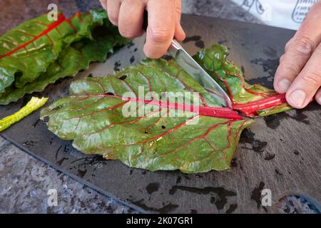 Rote Bete (Beta vulgaris subsp. Vulgaris), Schnittblätter, Schnittblätter, Küchenmesser, Schneidebrett, Gemüse, gesund, vegetarisch, schwäbisch Stockfoto