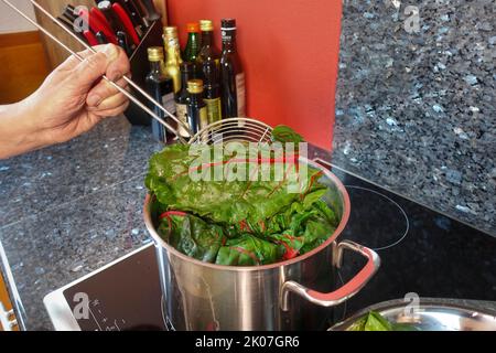 Rote Bete (Beta vulgaris subsp. Vulgaris), blanchierende Mangold-Blätter, Kochtopf, Schlitzlöffel, Induktionsherd, Cerankochfeld, Gemüse, gesund Stockfoto