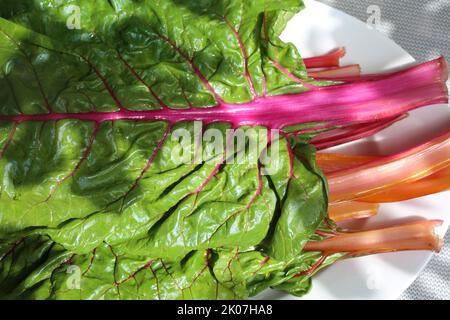 Rote Bete (Beta vulgaris subsp. Vulgaris), Mangold auf Servierplatte, Mangold, pflanzlich, gesund, vegetarisch, Schwäbische Küche, typisch Stockfoto