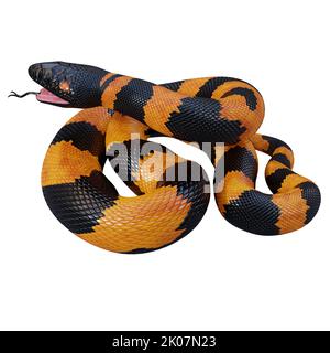 Bismarck-Ringelpython 3D Illustration. Stockfoto