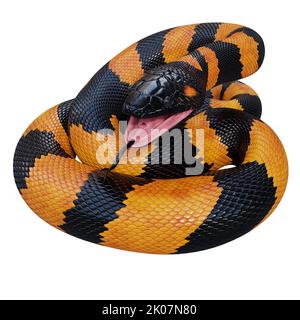 Bismarck-Ringelpython 3D Illustration. Stockfoto