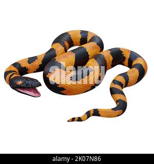 Bismarck-Ringelpython 3D Illustration. Stockfoto