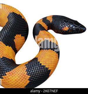 Bismarck-Ringelpython 3D Illustration. Stockfoto