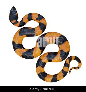 Bismarck-Ringelpython 3D Illustration. Stockfoto