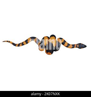 Bismarck-Ringelpython 3D Illustration. Stockfoto