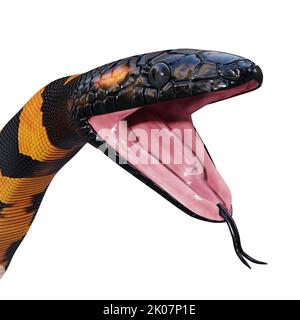 Bismarck-Ringelpython 3D Illustration. Stockfoto