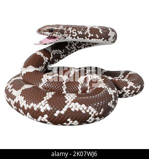 Kenianische Sandboa 3D Illustration. Stockfoto