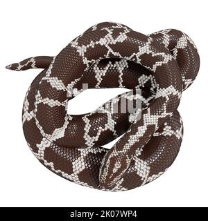 Kenianische Sandboa 3D Illustration. Stockfoto