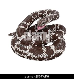 Kenianische Sandboa 3D Illustration. Stockfoto