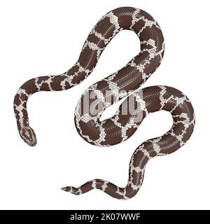 Kenianische Sandboa 3D Illustration. Stockfoto