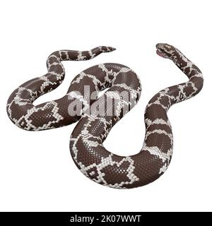 Kenianische Sandboa 3D Illustration. Stockfoto