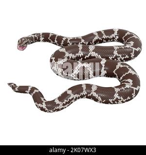 Kenianische Sandboa 3D Illustration. Stockfoto