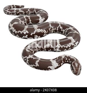 Kenianische Sandboa 3D Illustration. Stockfoto