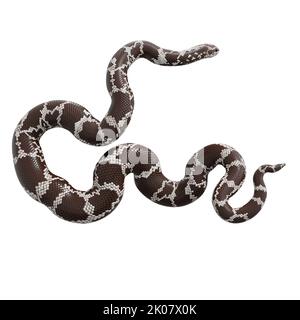 Kenianische Sandboa 3D Illustration. Stockfoto