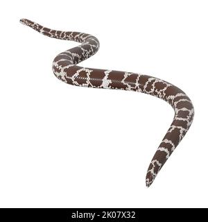 Kenianische Sandboa 3D Illustration. Stockfoto