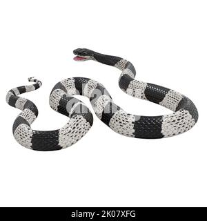 Malayan Krait 3D Illustration. Stockfoto