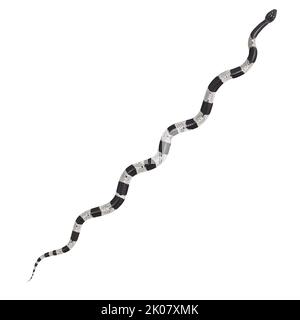 Malayan Krait 3D Illustration. Stockfoto