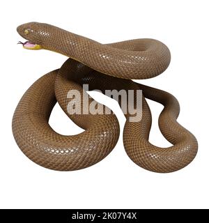 Malayan Krait 3D Illustration Stockfoto