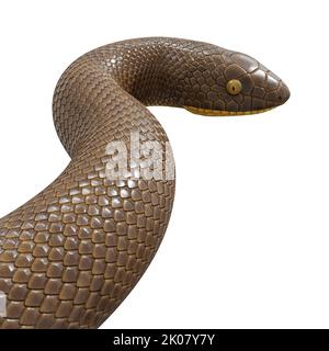 Malayan Krait 3D Illustration Stockfoto