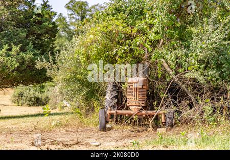 Ein alter Traktor aus dem Jahr 1950s, Farmall, Modell 300, in überwucherter Vegetation Stockfoto