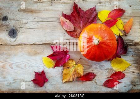 Red kuri Kürbis auch hokkaido Kürbis genannt und bunte Herbstblätter auf rustikalen Holzplanken, Gemüse für Halloween und Thanksgiving, Kopierraum, Stockfoto