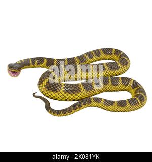 Zebra Dschungel Teppich Python 3D Illustration. Stockfoto