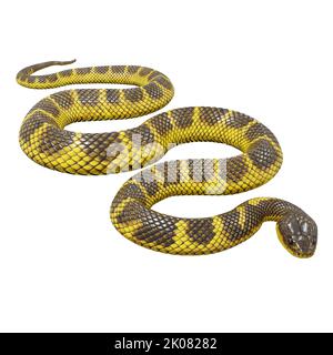 Zebra Dschungel Teppich Python 3D Illustration. Stockfoto